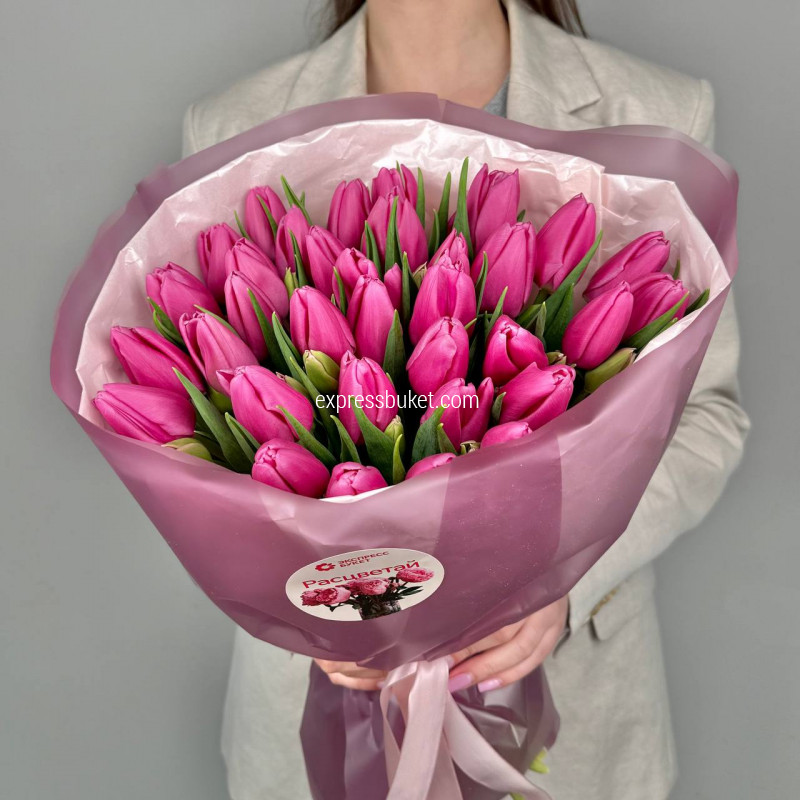 Тюльпаны малиновые 35 штук
