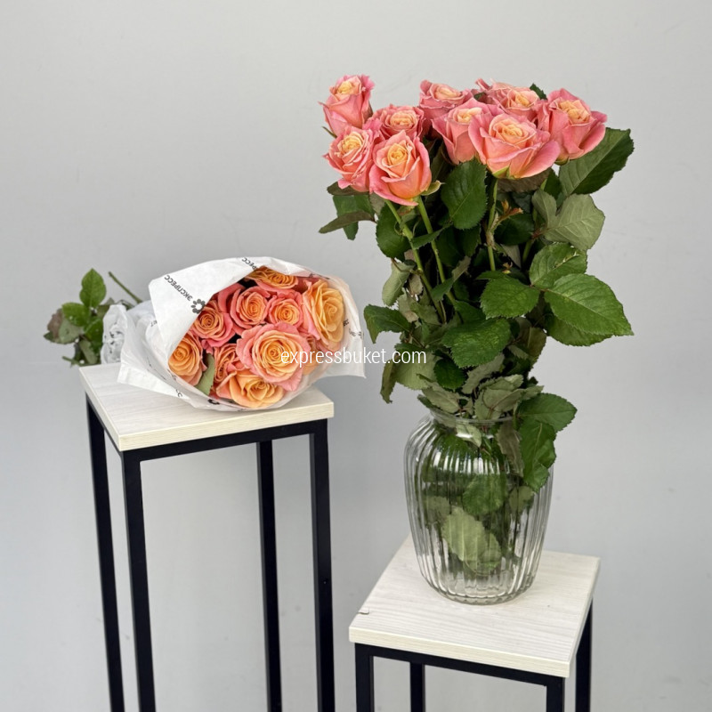 Розы Мисс Пигги, 10 шт