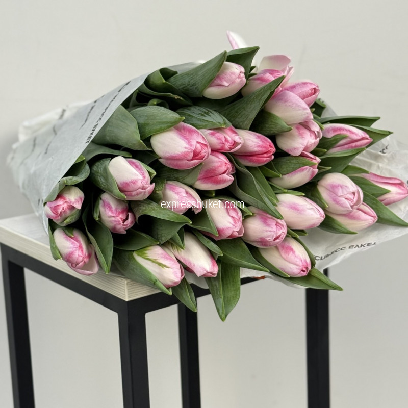 Тюльпаны розовые, 25шт 