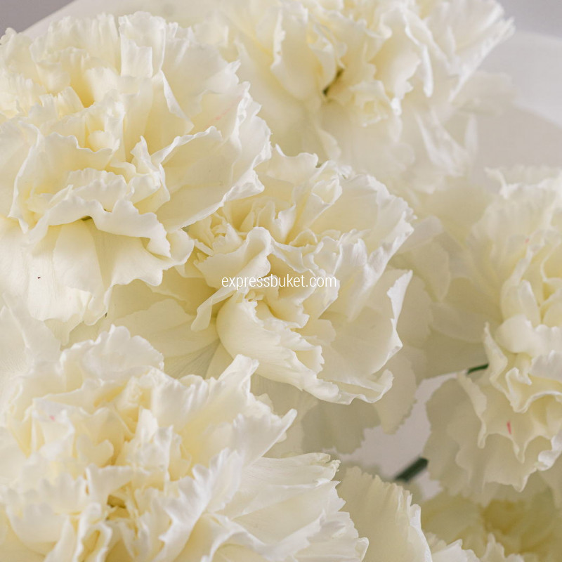 По-своему нежный