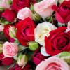 Букет из 25 кустовых роз